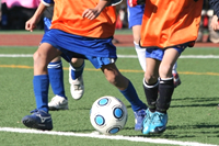 おいしく、くさりにくい。