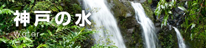 神戸の水